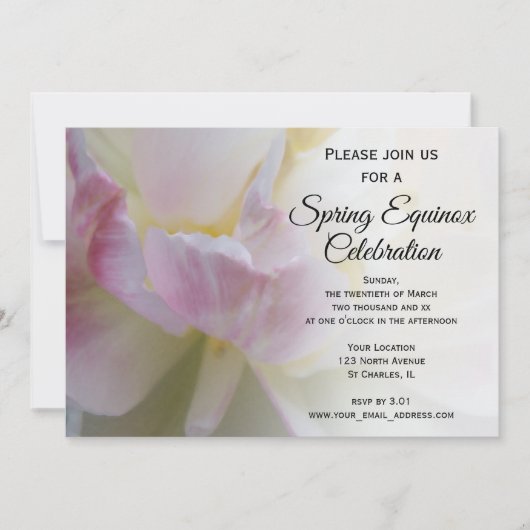 Chique Roze Witte Tulp Lente Equinox Feestviering Kaart (Voorkant)