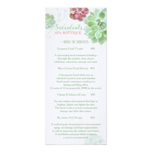 Chique Succulenten Massage Spa prijslijst Menu 1 (Voorkant)