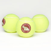 ChiRadioLLC™ IceCream Tennisballen (Multi)