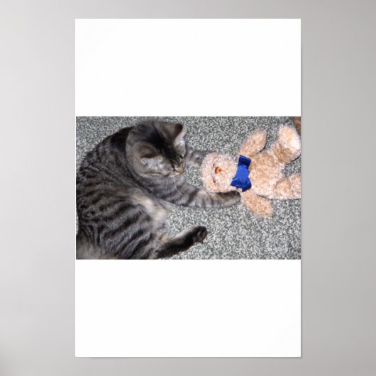 "Chiro-Cat" Poster (Voorkant)