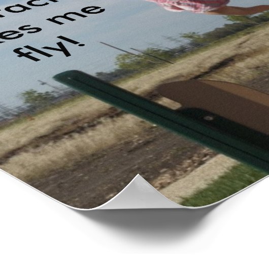 Chiropractic maakt me vlieg poster (Hoek)