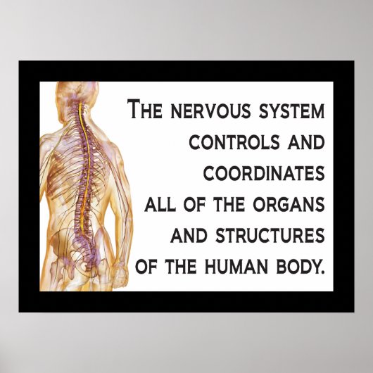 Chiropractic Nerves Quote Poster aanpassen (Voorkant)