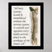 Chiropractic Quote Nervous System Poster Customize (Voorkant)