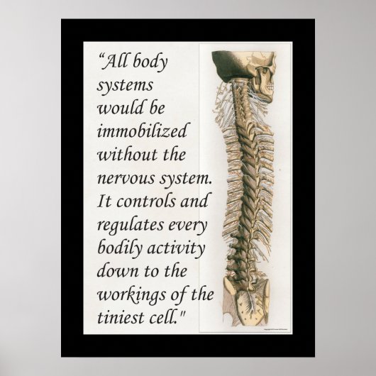 Chiropractic Quote Nervous System Poster Customize (Voorkant)