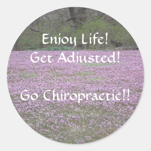 Chiropractie Stickers (Voorkant)