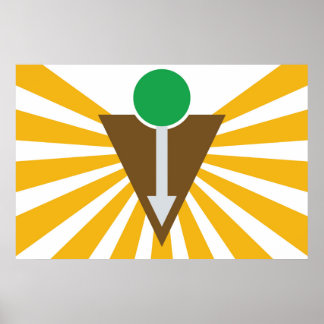 Chiropractisch Poster