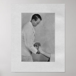 Chiropractische  afdruk voor aanpassing van extrem poster