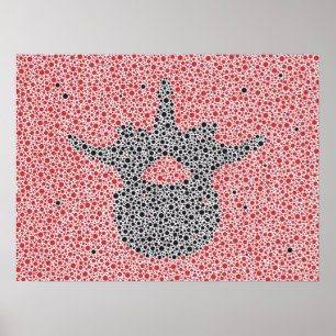 Chiropractische anatomie Artwork Lumbar Vertebrae Poster