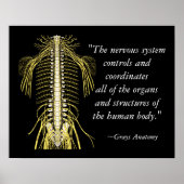 Chiropractische Gezegden & Quotes Nerves Poster (Voorkant)