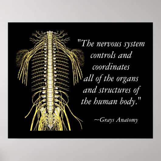 Chiropractische Gezegden & Quotes Nerves Poster (Voorkant)