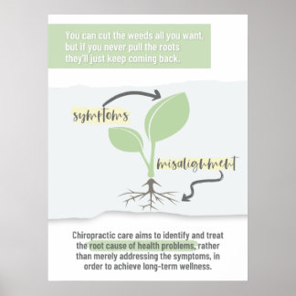 Chiropractische kunst, Chiropractor, Chiropractie Poster