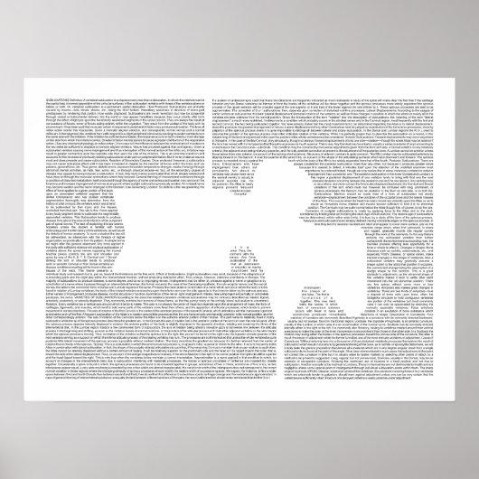 Chiropractische lumbar Vertebra Art Print (Voorkant)