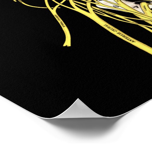 Chiropractische offertes en Gezegden DD Palmer Poster (Hoek)