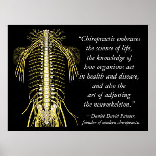 Chiropractische offertes en Gezegden DD Palmer Poster
