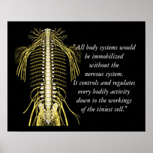 Chiropractische offertes en Gezegden Nerves Poster