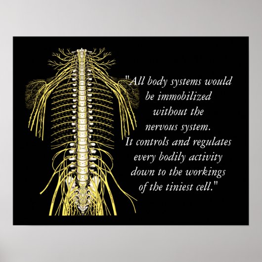 Chiropractische offertes en Gezegden Nerves Poster (Voorkant)