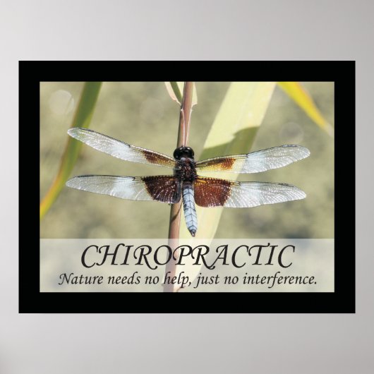 Chiropractische offertes en Poster van de Natuur v (Voorkant)