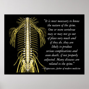 Chiropractische offertes Hippocrates Poster