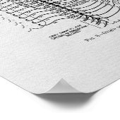 Chiropractische Spinale Nerves  Print (Hoek)