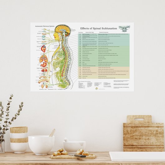 Chiropractische subluxe Spinale Nerves ANS Chart Poster (Keuken)