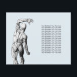 Chiropractor Massage Therapy Chiropractic Anatomti Flyer<br><div class="desc">Chiropractor Massage Spa Therapist Anatomy Flyers.</div>