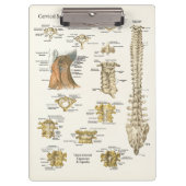 Chiropraktijk Cervical Spine Anatomy Clipboard Klembord (Voorkant)