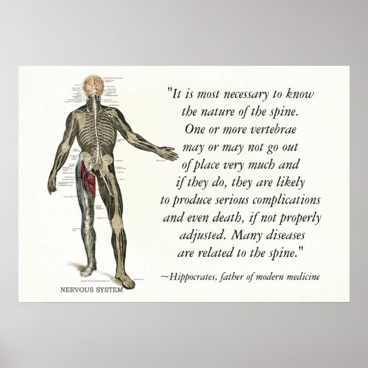 Chiropraktijk Health Quotes & Gezegden Poster (Voorkant)