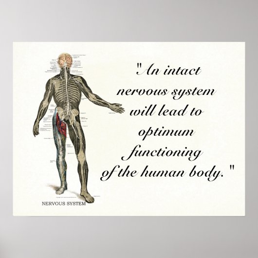 Chiropraktijk Health Quotes & Gezegden Poster (Voorkant)