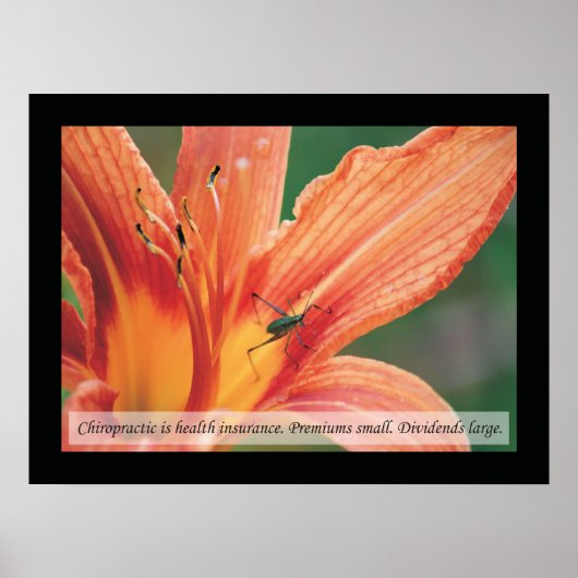 Chiropraktijk Quotes and Gezegden Health Poster (Voorkant)