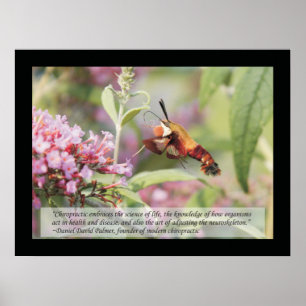 Chiropraktijk Quotes and Gezegden Health Poster