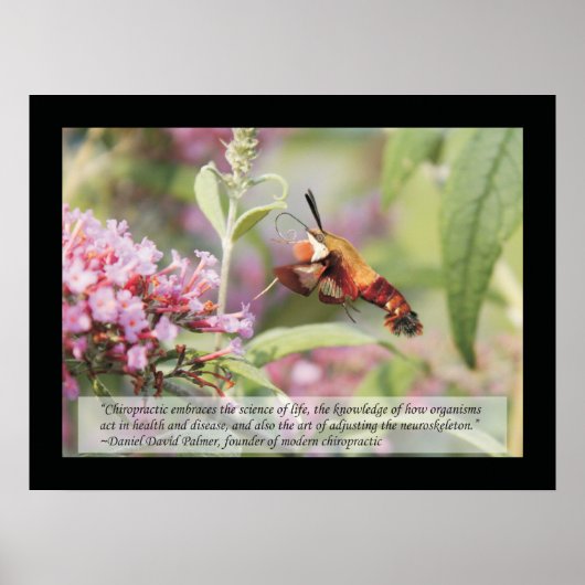 Chiropraktijk Quotes and Gezegden Health Poster (Voorkant)