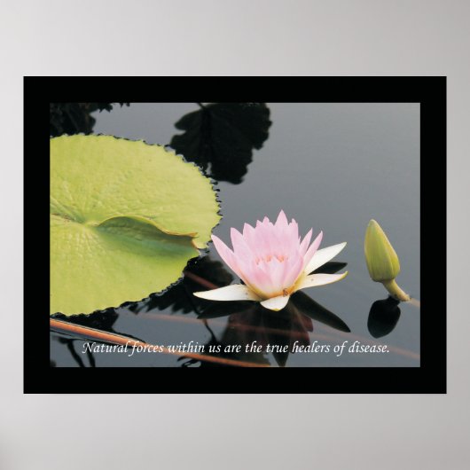 Chiropraktijk Quotes and Gezegden Health Poster (Voorkant)