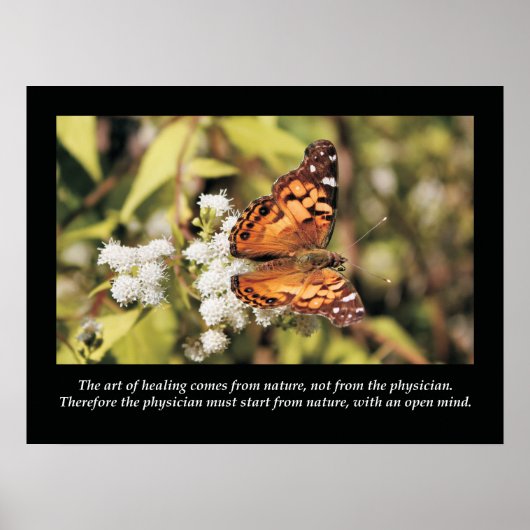 Chiropraktijk Quotes and Gezegden Health Poster (Voorkant)