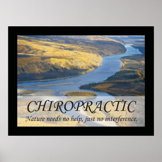 Chiropraktijk Quotes & Gezegden Natuur Poster (Voorkant)