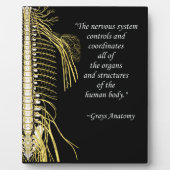 Chiropraktijk Zenuwstelsel Quote Easel Fotoplaat (Voorkant)