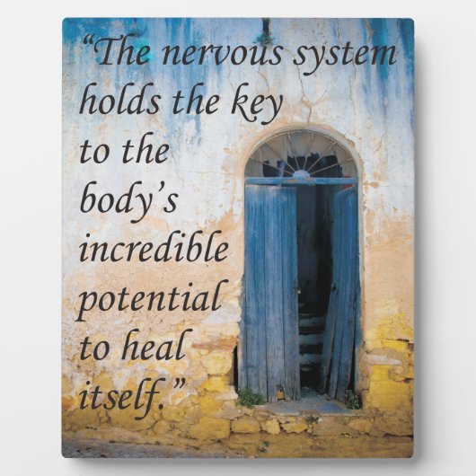 Chiropraktijkcode voor gezondheidsesel fotoplaat (Voorkant)