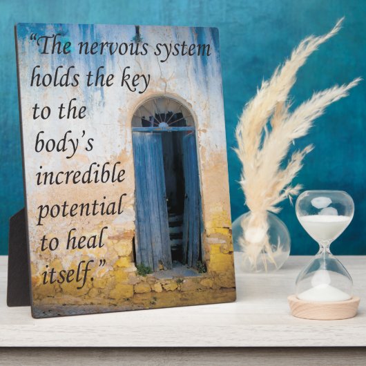 Chiropraktijkcode voor gezondheidsesel fotoplaat (Zijkant)