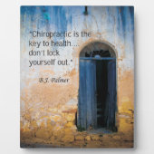 Chiropraktijkcode voor gezondheidsesel fotoplaat (Voorkant)