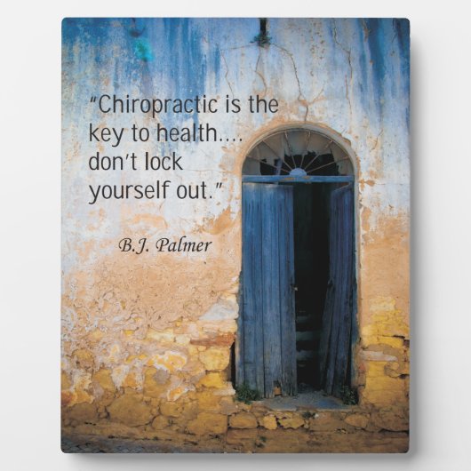 Chiropraktijkcode voor gezondheidsesel fotoplaat (Voorkant)