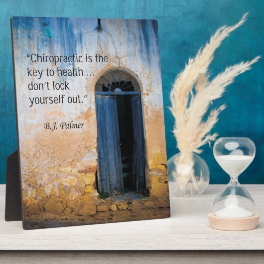 Chiropraktijkcode voor gezondheidsesel fotoplaat (Zijkant)