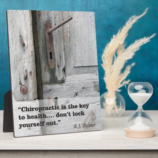 Chiropraktijkcode voor gezondheidsesel fotoplaat (Zijkant)