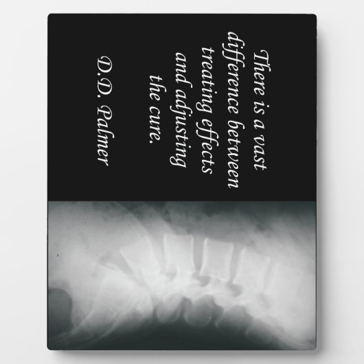 Chiropraktijkgerichte aanpassing van de kure esel fotoplaat (Voorkant)