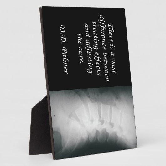 Chiropraktijkgerichte aanpassing van de kure esel fotoplaat (Zijkant)