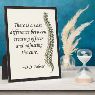 Chiropraktijkgerichte aanpassing van de kure esel fotoplaat