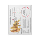 Chiropraktijkzorg voor autoinfecties notitieblok (Linkerzijde)