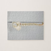 Chiropraktisch skelet legpuzzel (Horizontaal)