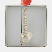 Chiropraktisch skelet metalen ornament (Voorkant)