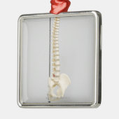 Chiropraktisch skelet metalen ornament (Links)
