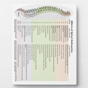 Chiropraktische effecten van ruggegraatsubluxe Eas Fotoplaat