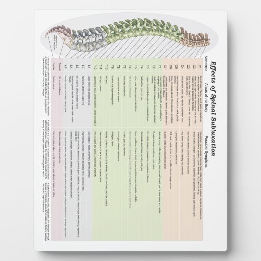 Chiropraktische effecten van ruggegraatsubluxe Eas Fotoplaat (Voorkant)